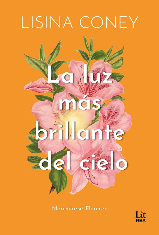 La luz más brillante del cielo - Lisina Coney